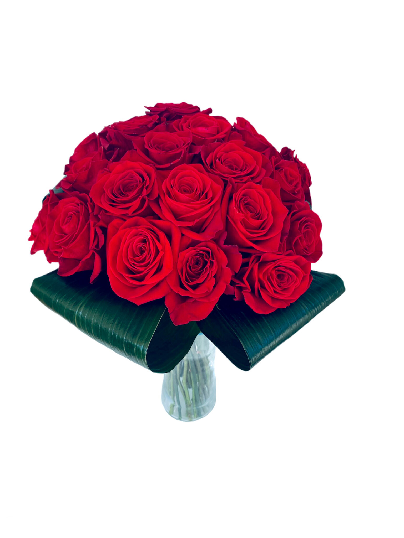 jamón sufrimiento Emoción Siempre – 24 Rosas Rojas – Ramo de flores – Bella Rosa