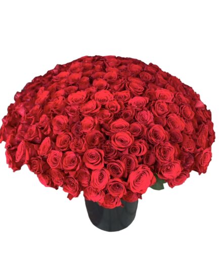 Ilusión - Ramo 500 Rosas rojas