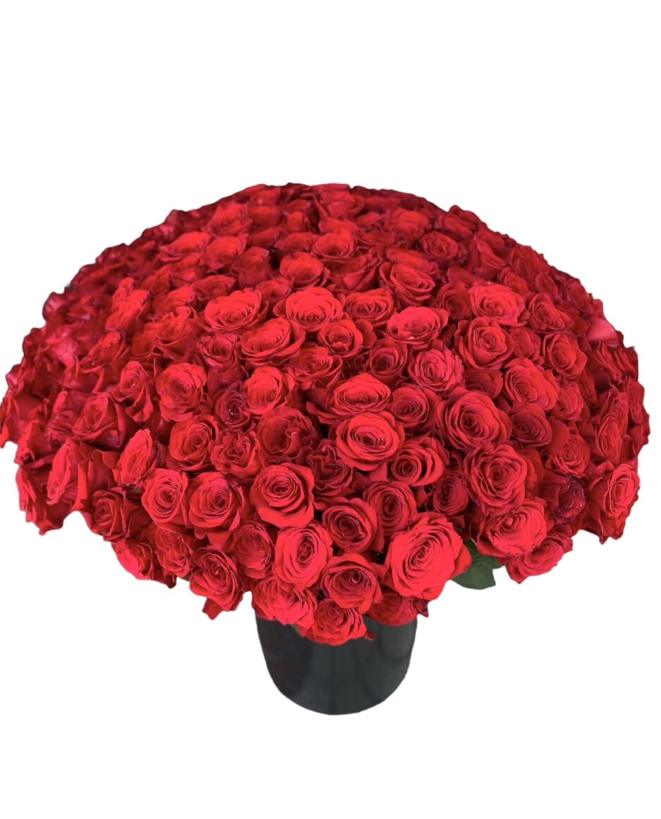 Ilusión - Ramo 500 Rosas rojas