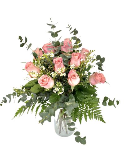 Primor - 12 Rosas hermosas
