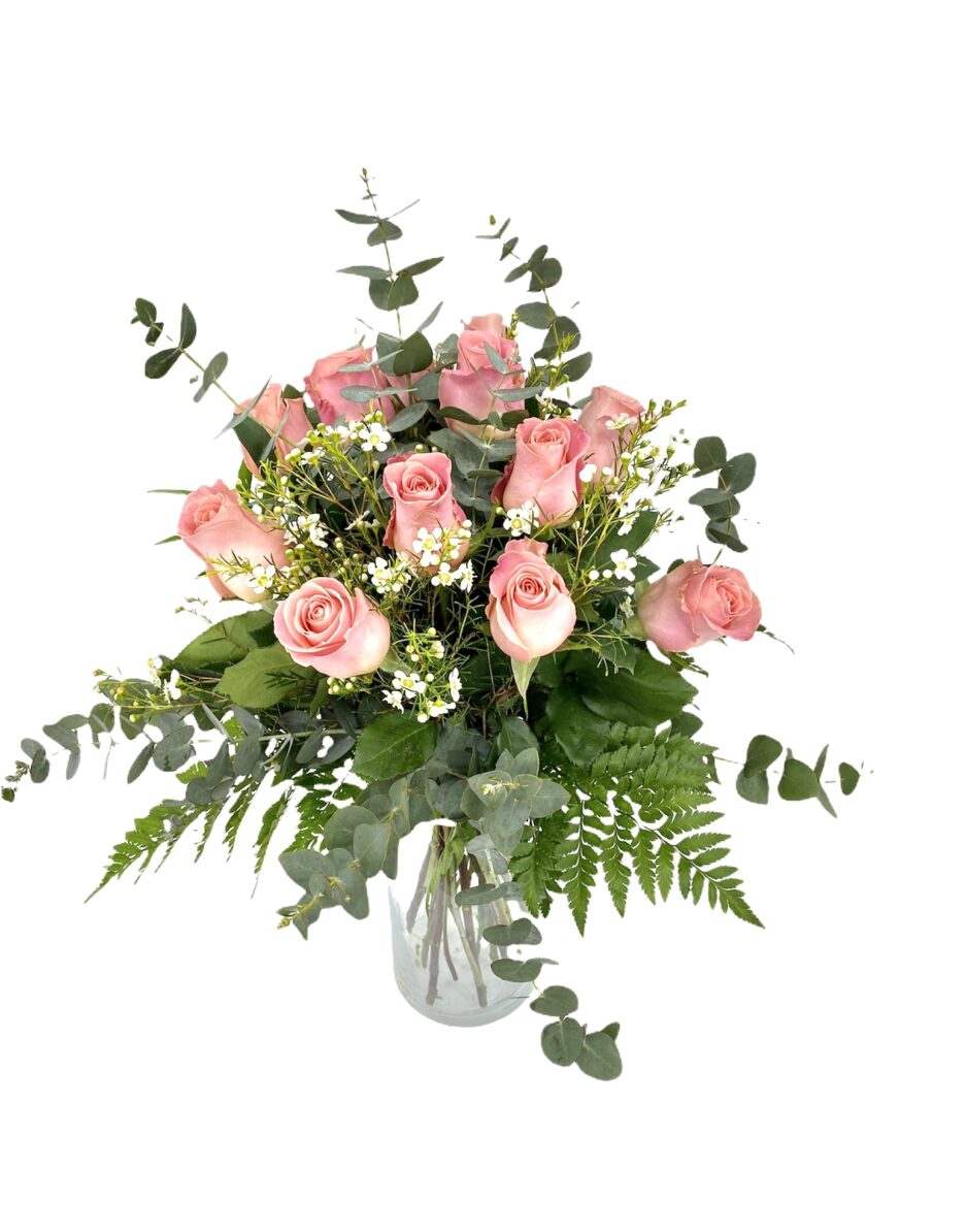 Primor - 12 Rosas hermosas