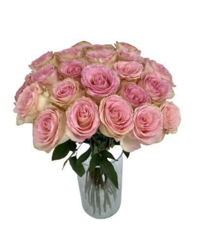 Encanto - 24 Rosas rosadas