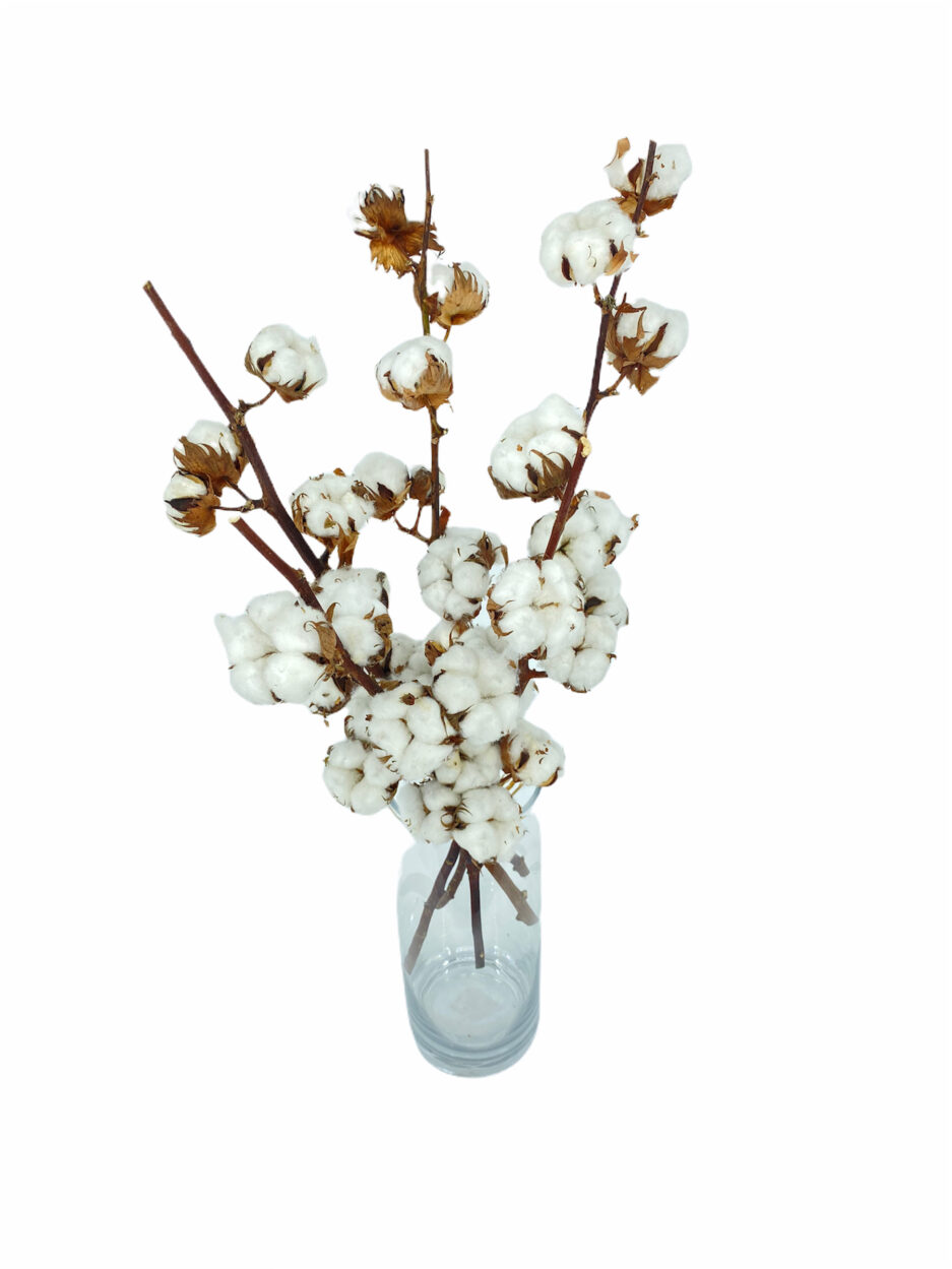 Ramo de flores algodón natural