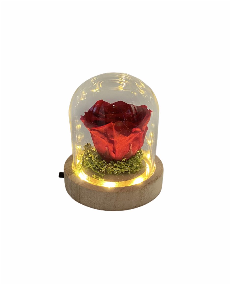 Urna Mini con luz Led - Regalos románticos