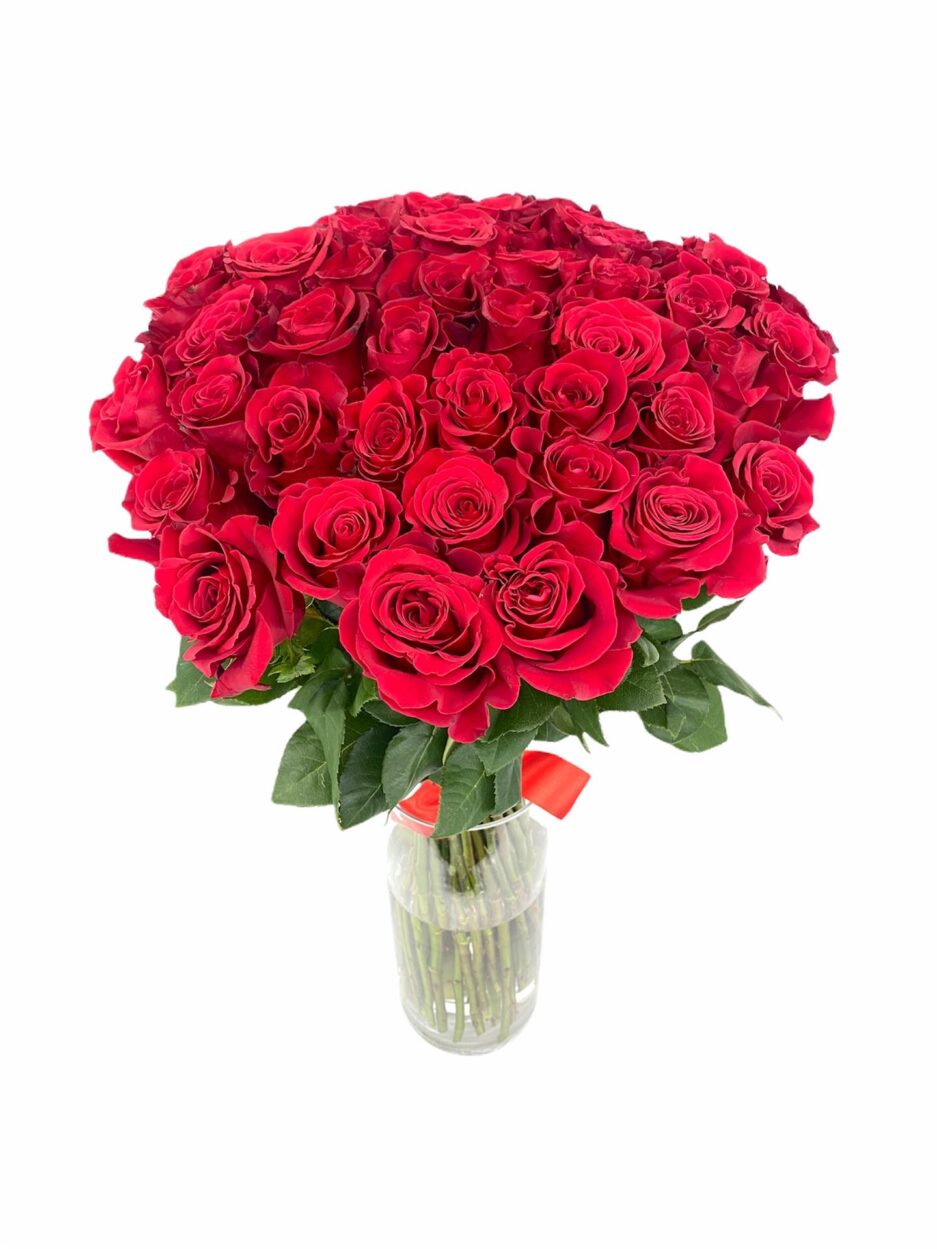 Musa - 50 Rosas Rojas Especiales - Ramo de flores