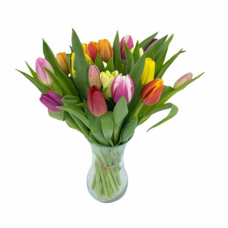 Ámsterdam - Ramo de Tulipanes de colores