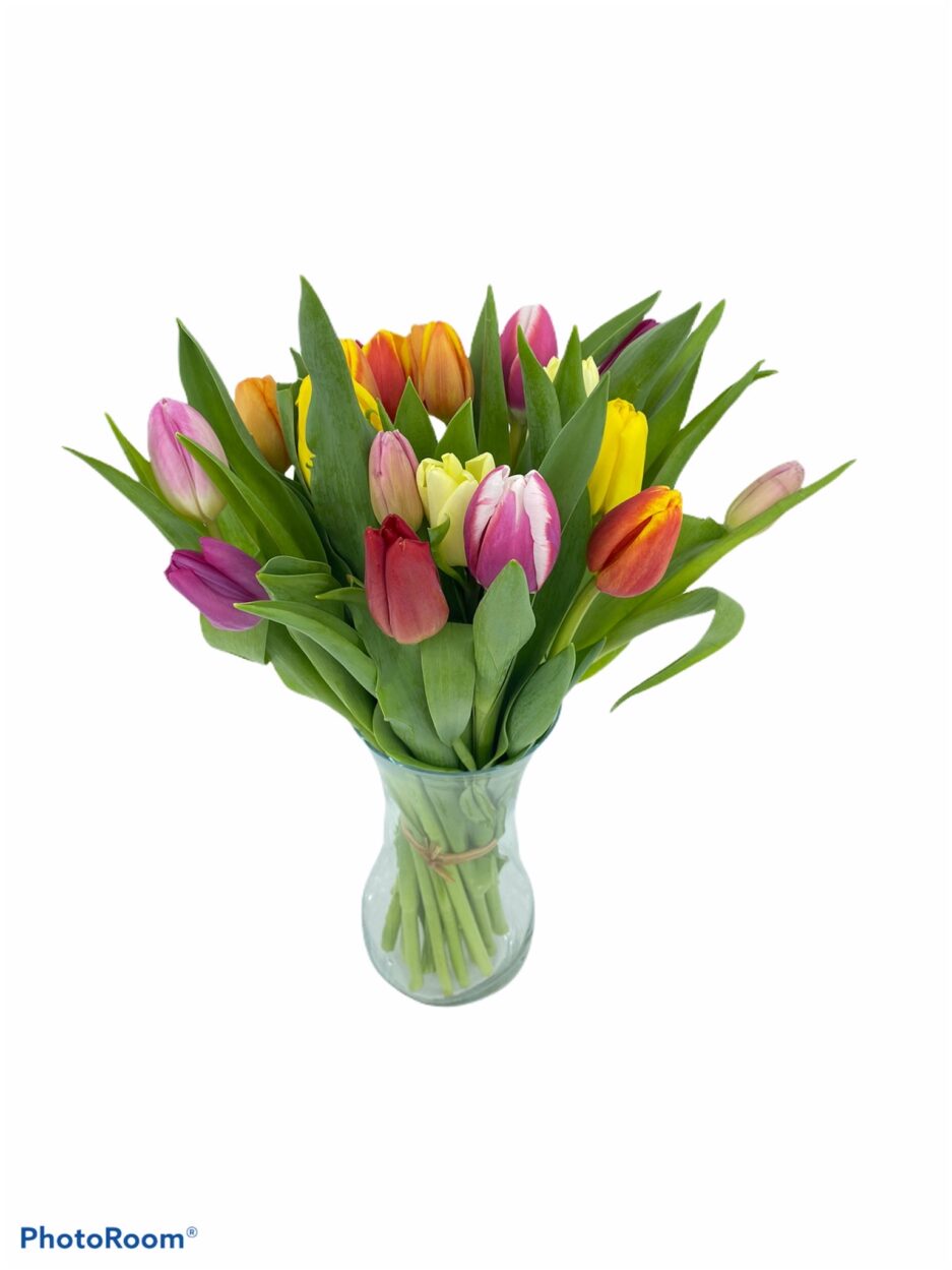 Ámsterdam - Ramo de Tulipanes de colores