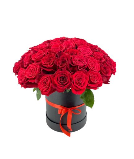 Terciopelo - Caja 50 Rosas Rojas