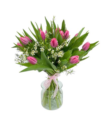 Tulipán rosa - Holanda-