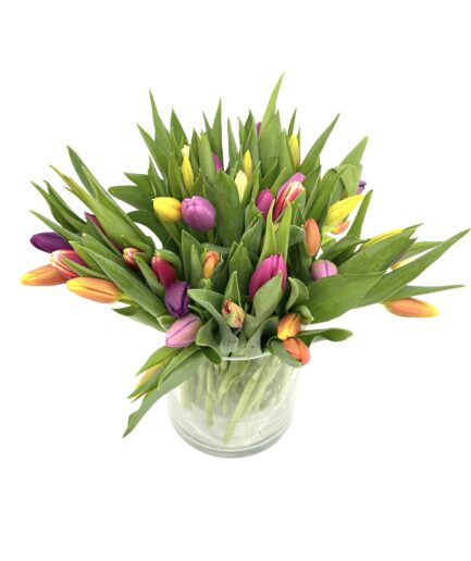 Gran Róterdam - Ramo 50 tulipanes multicolor