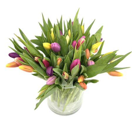 Gran Róterdam - Ramo 50 tulipanes multicolor