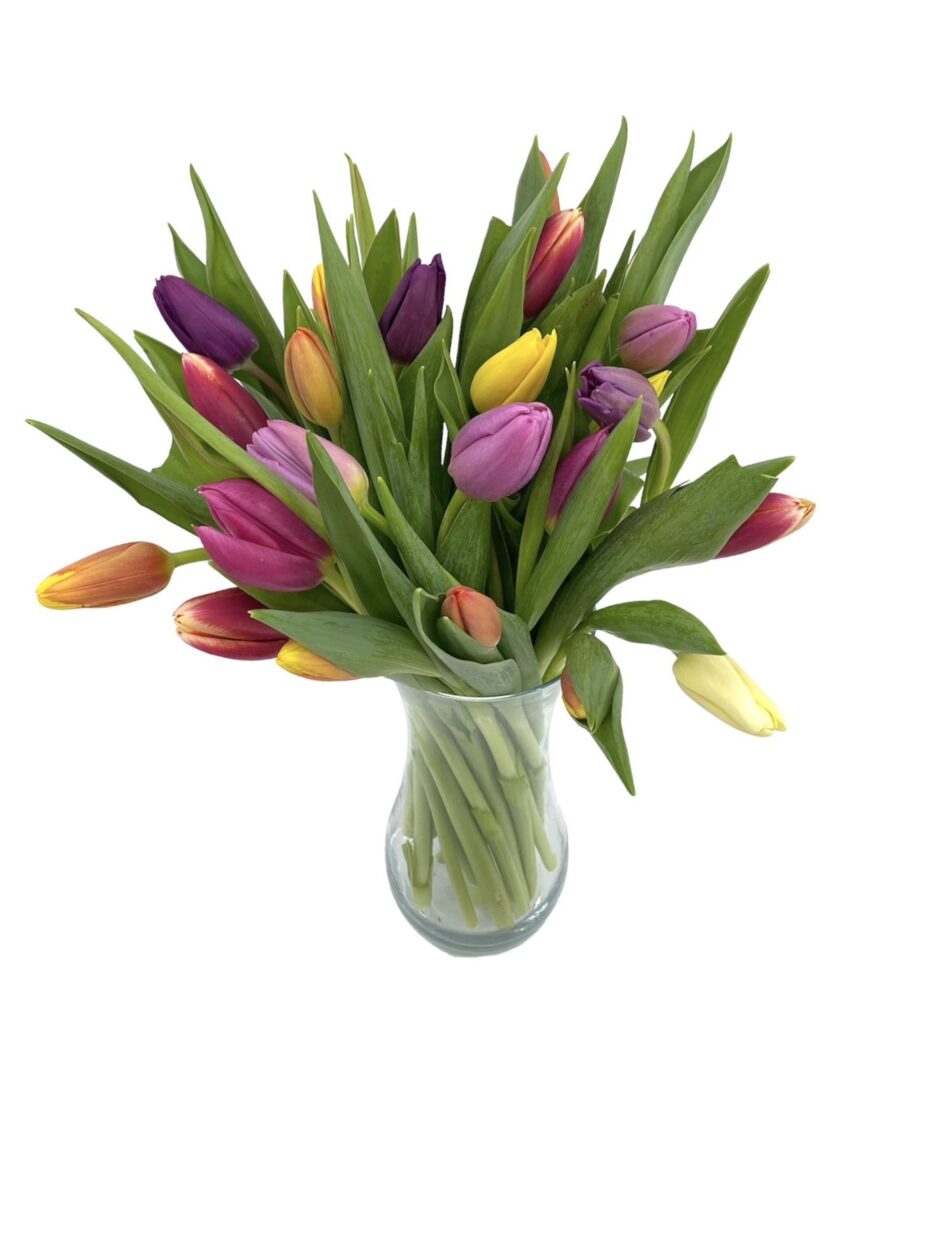 Róterdam - Ramo 20 tulipanes multicolor