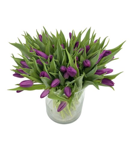 Gran Cumplido - Ramo 50 tulipanes morados