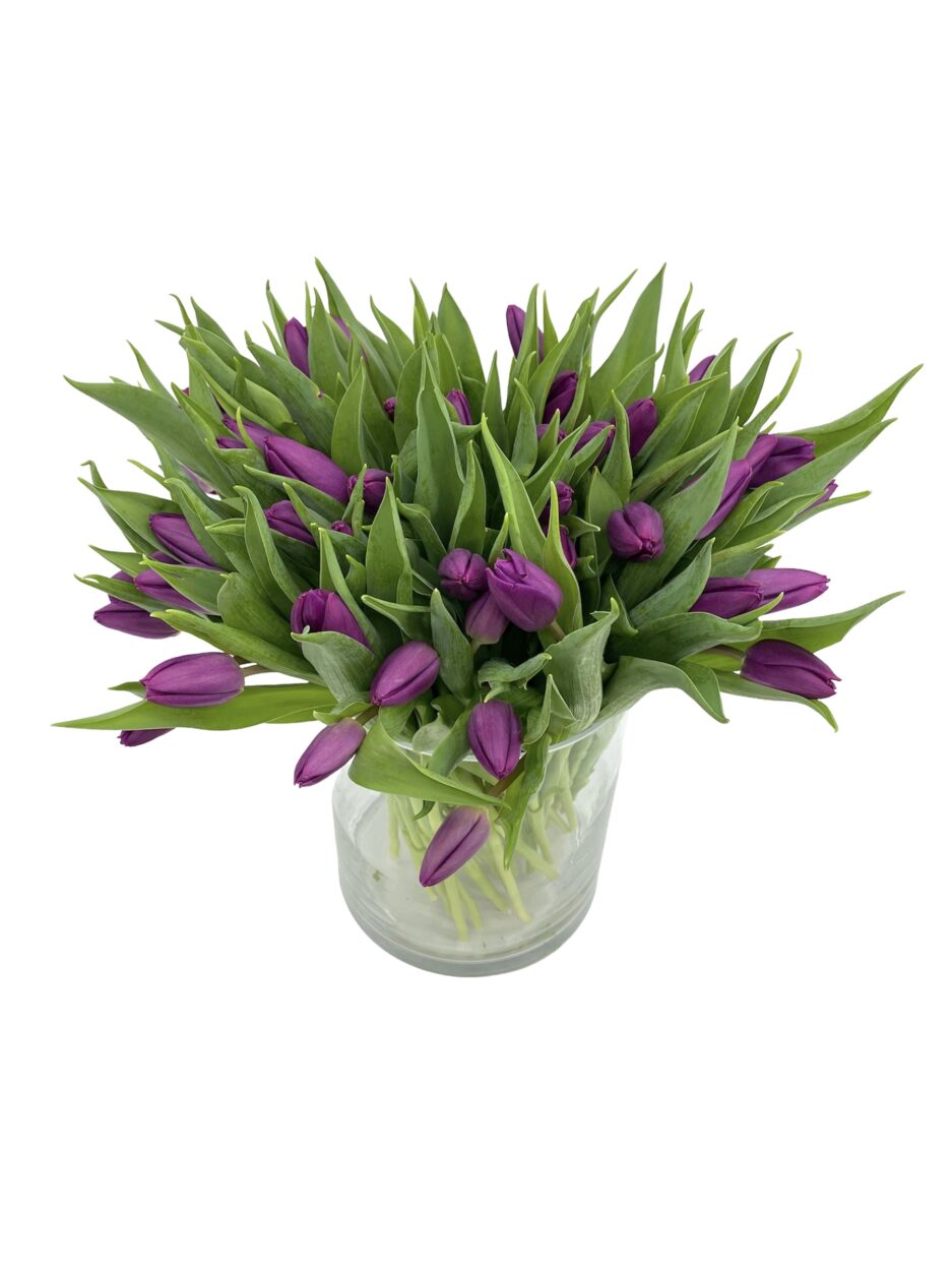 Gran Cumplido - Ramo 50 tulipanes morados