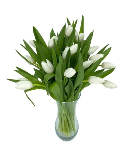 Susurro - Ramo 20 tulipanes blancos