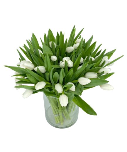 Gran Susurro - Ramo 50 tulipanes blancos