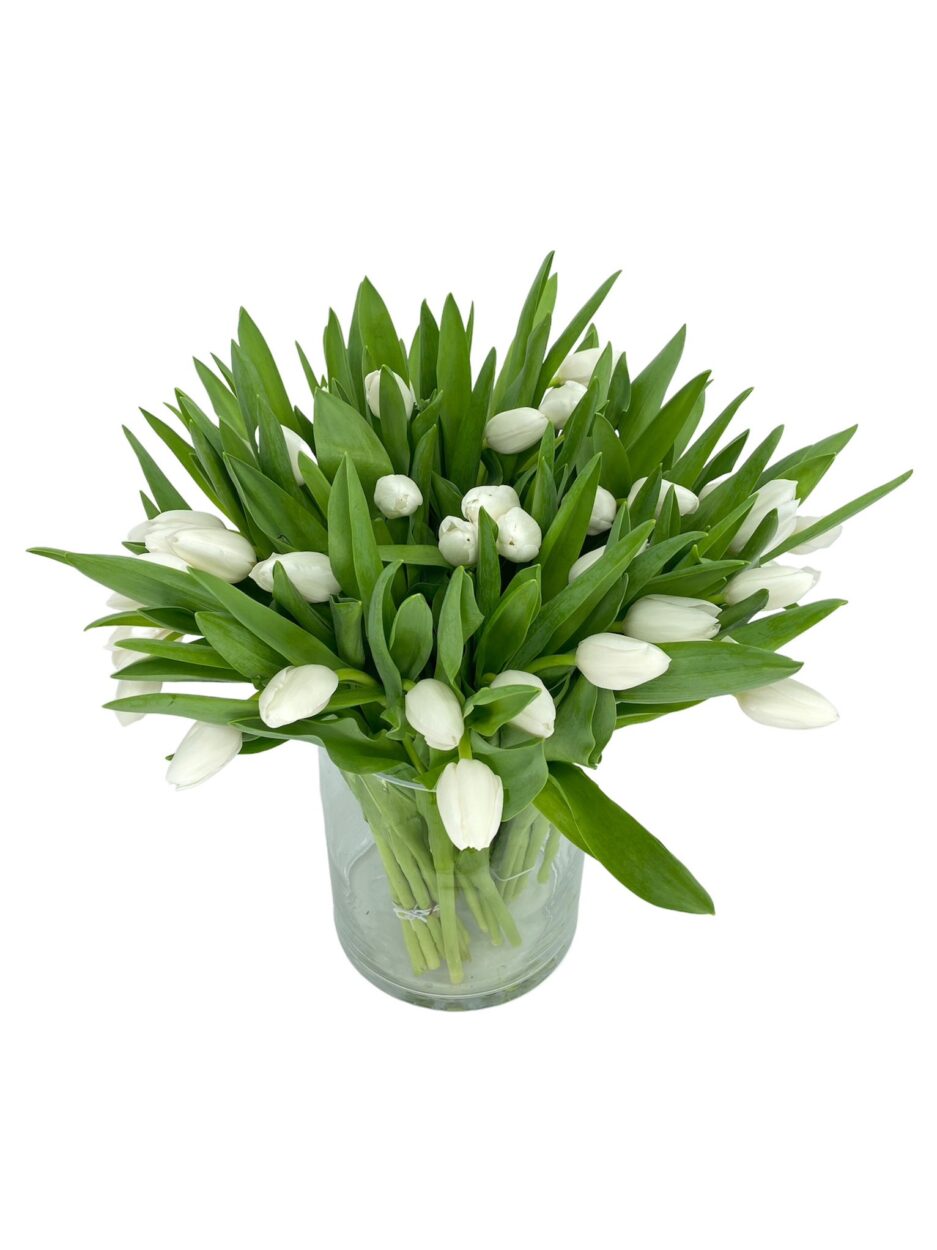 Gran Susurro - Ramo 50 tulipanes blancos