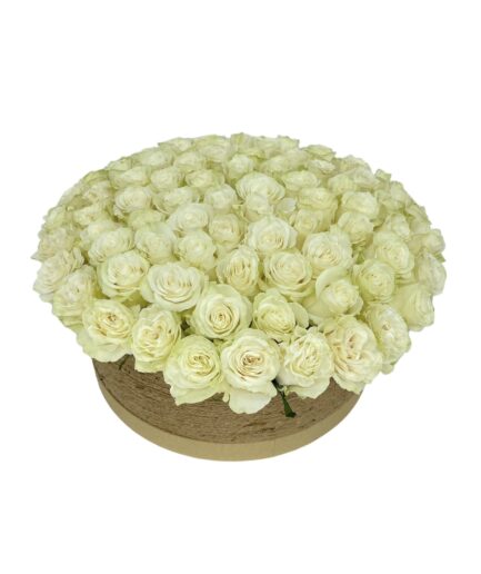 Algodón - Caja 100 rosas blancas