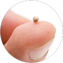 Alvaro Barbosa Guevara profile picture